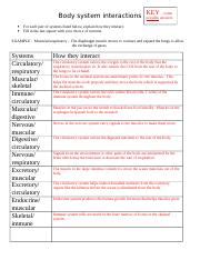 Body System Interactions Worksheet Answer Key