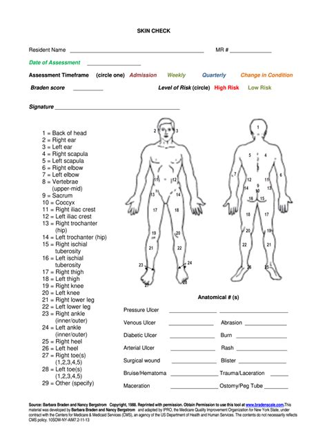 Body Check Free Printable Skin Assessment Forms