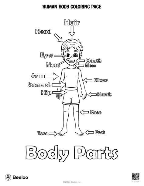 Body Color Page