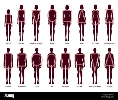 Various dress silhouettes on different body types