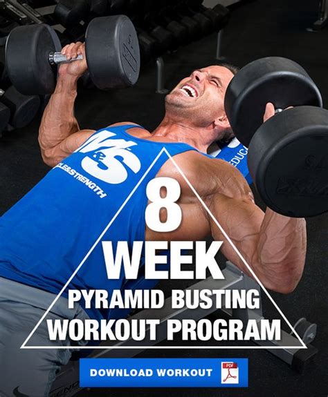 Bodybuilding 8x8 Program