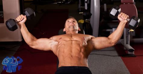 Bodybuilding Exercise Database