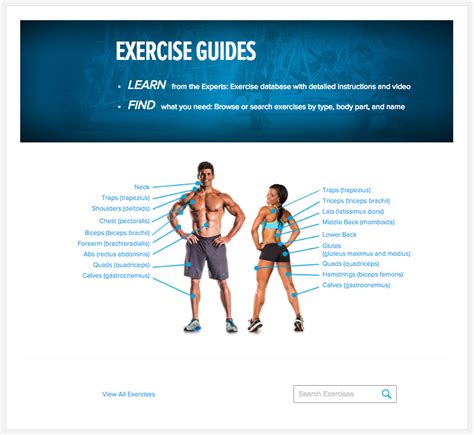 Bodybuilding Exercise Database Download