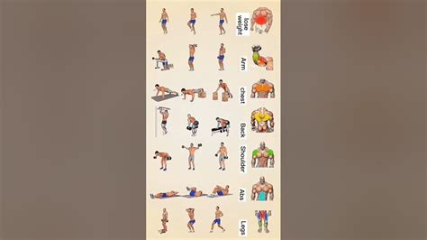 Bodybuilding Exercise Youtube