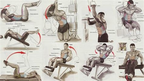 Bodybuilding Exercises Routines