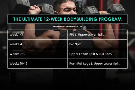 Bodybuilding Program 12 Weeks