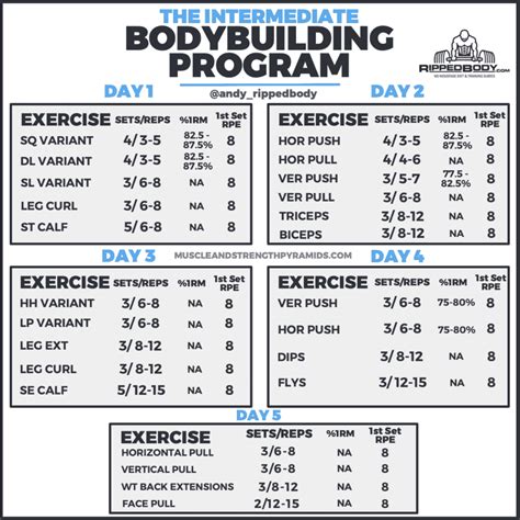 Bodybuilding Program 2019