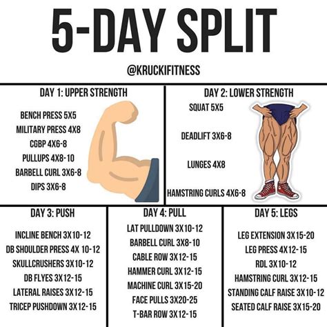Bodybuilding Program 5 Day Split
