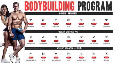 Bodybuilding Program Online