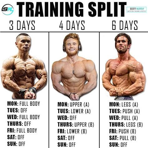 Bodybuilding Training 2 Times A Day
