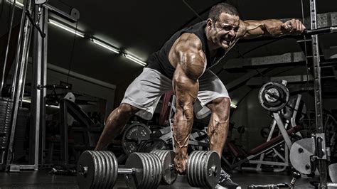 Bodybuilding Workout 1080p