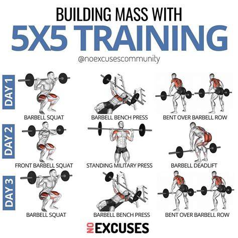 Bodybuilding Workout 5x5