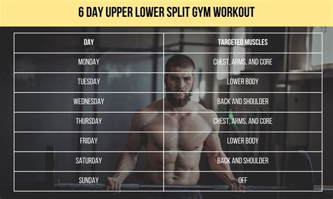 Bodybuilding Workout 6 Day Split