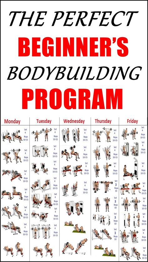 Bodybuilding Workout Beginner