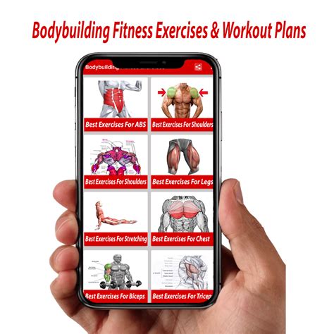Bodybuilding Workout Download
