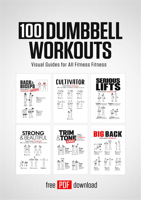 Bodybuilding Workout Guide Pdf