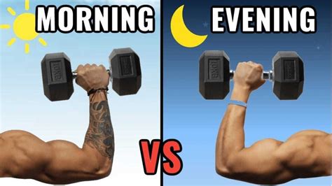 Bodybuilding Workout In Morning Or Evening