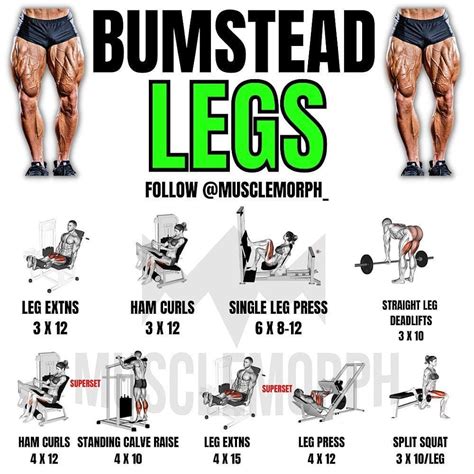 Bodybuilding Workout Legs