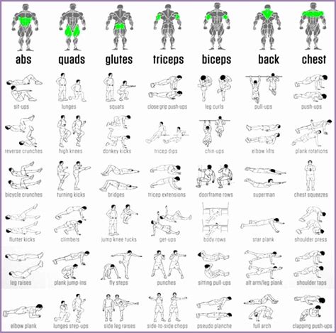Bodybuilding Workout Pdf Free Download