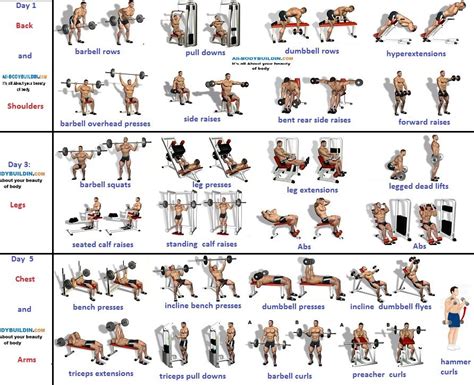Bodybuilding Workout Plans