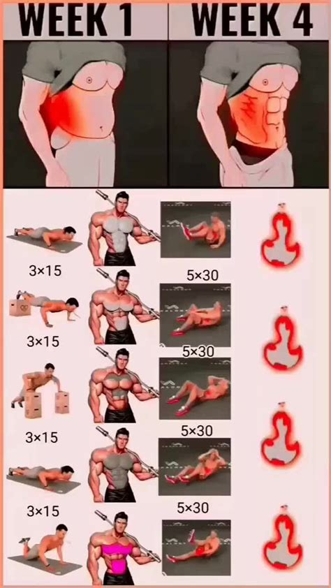 Bodybuilding Workout Quick