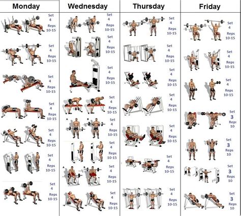 Bodybuilding Workout Schedule