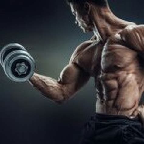 Bodybuilding Workout Youtube Videos