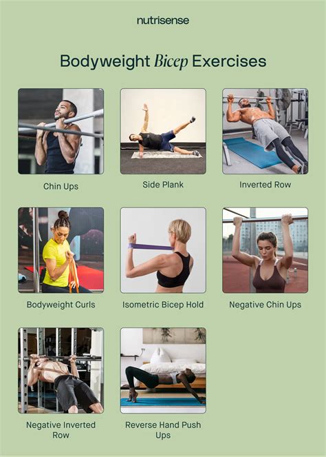Bodyweight Biceps Exercises