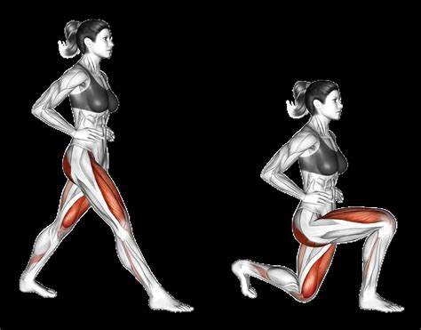 Bodyweight Lunges