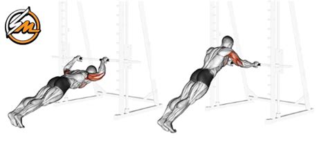 Bodyweight Skull Crusher