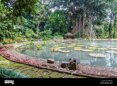 Bogor Botanical Gardens