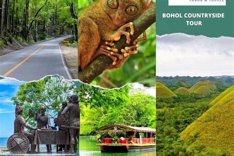 Bohol Countryside Tour: A Close Look at Tarsiers and Those Chocolate Hills