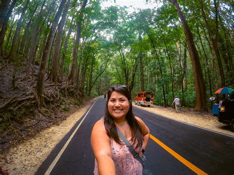 Bohol forest adventures