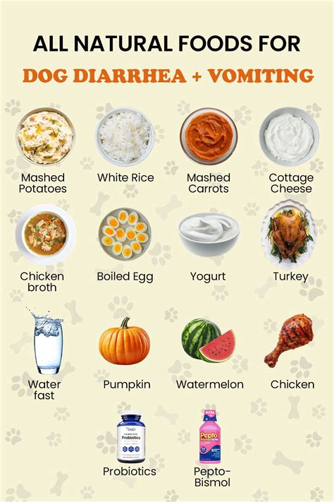 Boiled rice for dog vomiting