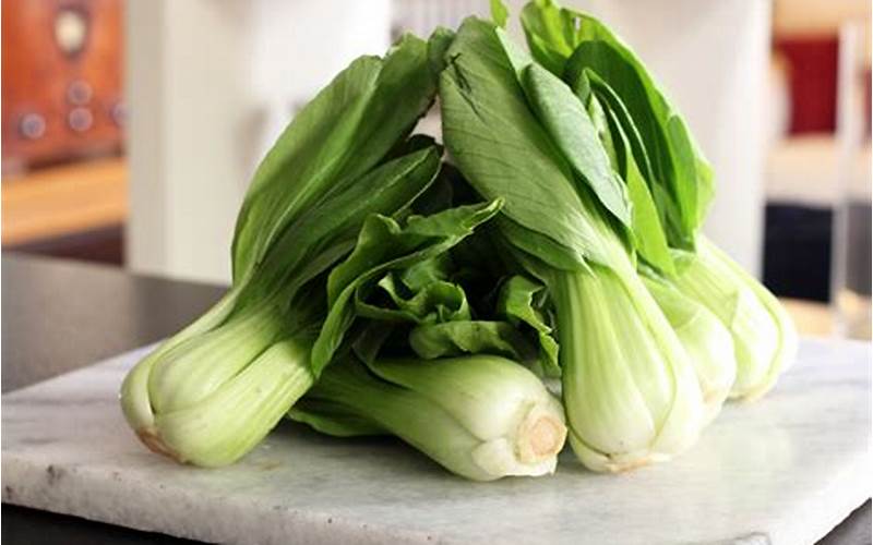 Can Guinea Pigs Have Bok Choy?