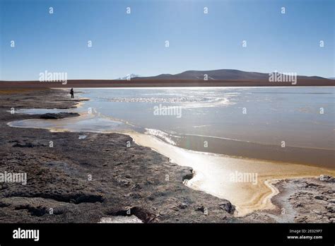 Bolivian Lagoon