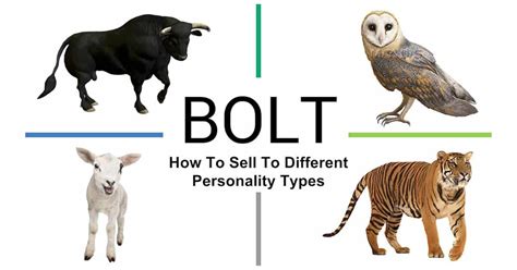 Bolt Personality