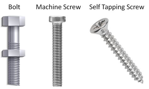 vs Screw