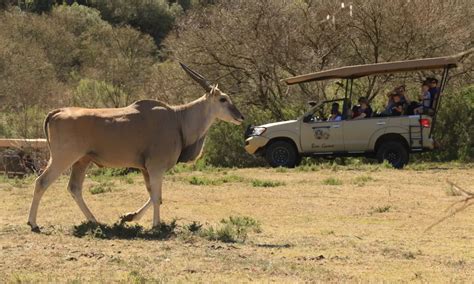 Bon Game Reserve visitors guidelines