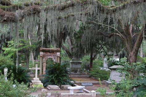 Bonaventure Cemetery at Night