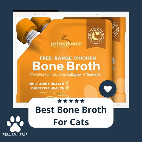 Bone Broth for Cats