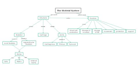 Bits and Pieces of Middle School Skeletal System Concept Maps
