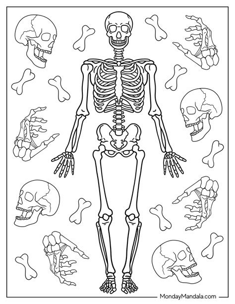 Bones Coloring Pages
