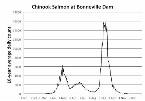 Bonneville Fish Count Salmon and Steelhead Population Trends