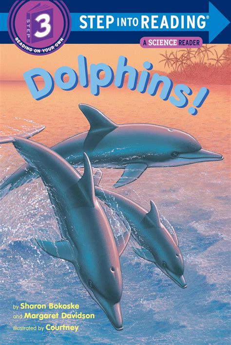 Book Dolphin Adventure