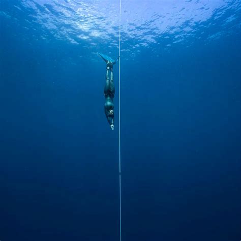 Book Freediving Course
