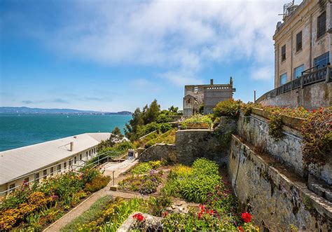 Booking Alcatraz Tour