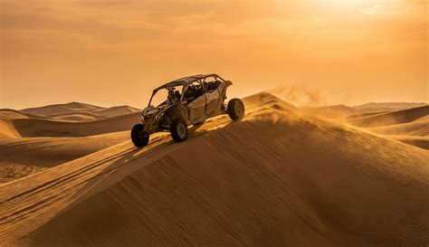 Booking Buggy Safari Tips