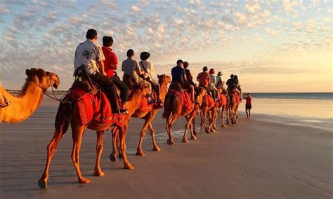Booking Cable Beach Camel Ride