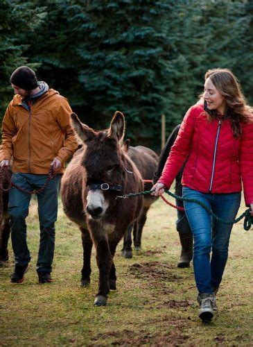 Booking Donkey Walk Tour